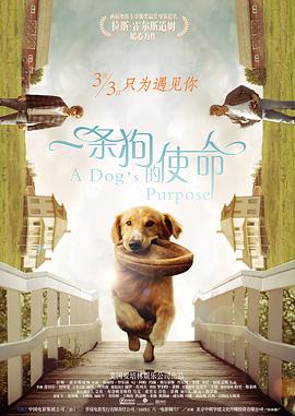 《山河为证》正式上映!